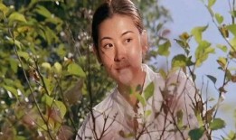 电影桑叶在线观看,穿越时光的奇幻之旅