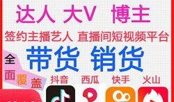 爆料网红带货视频大全最新,揭秘热门产品背后的带货秘密