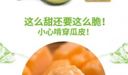 qq吃瓜号推荐免费,跟随QQ吃瓜号探寻娱乐圈幕后故事