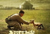 狼图腾完整版在线观看,草原霸主传奇，在线观看全揭秘