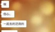 网络视频最新爆料,惊人内幕曝光！