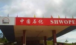 济宁加油站爆料案件最新