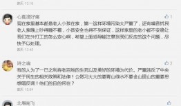 八村最新爆料视频播放,精彩瞬间与幕后故事大公开