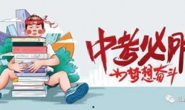 网易比特爆料最新消息,最新科技动态揭秘