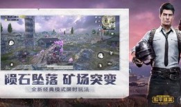 和平精英老王爆料最新,全新版本大揭秘，敬请期待！