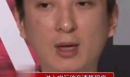 娱乐吃瓜熊猫视频,趣味视频背后的故事