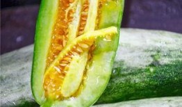 网红吃瓜公众号,揭秘幕后真相，带你领略娱乐圈风云变幻