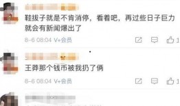 杨子炫富爆料视频大全下载,揭秘明星奢华生活幕后真相