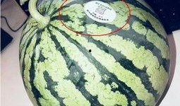 吃网红的瓜是什么意思,网络时代下的娱乐八卦新潮流