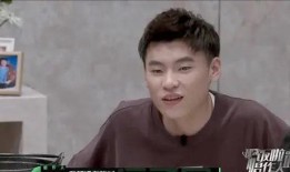 隔壁老樊被爆料视频,揭秘背后真相