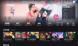 优酷绯闻爆料视频下载免费,免费下载背后的真相