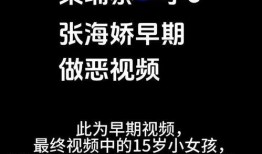 柬埔寨爆料视频大全,揭秘真实生活与幕后真相