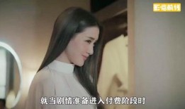 妻中密在线观看,揭秘婚姻背后的秘密世界