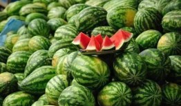 新沂网红吃瓜事件真相,真相背后的网络狂欢与反思