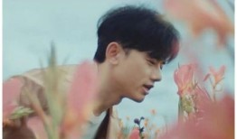 爆料娱乐圈张杰谢娜视频,娱乐圈风波再起