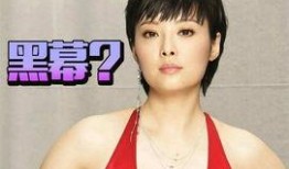 袁立爆料娱乐圈事件,真相与争议并存