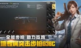 绝地求生功夫爆料视频,揭秘神秘爆料，功夫元素强势加入