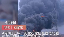 辉门二厂爆料事件视频