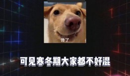 456娱乐八卦吃瓜,揭秘娱乐圈最新吃瓜事件