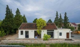 农村老田最新爆料,最新爆料背后的惊人真相