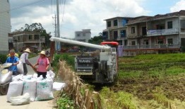 农村老田最新爆料,最新爆料背后的惊人真相