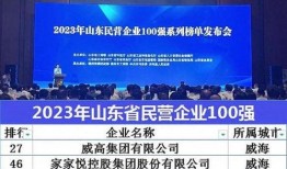 威海企业爆料事件视频最新,揭露真相，探寻企业生存困境