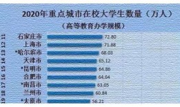 大学生爆料家乡新闻稿,揭秘家乡发展新动态