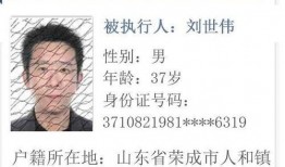 威海企业爆料事件视频最新,揭露真相，探寻企业生存困境