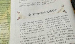 大学生爆料家乡新闻稿,揭秘家乡发展新动态