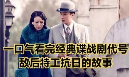 电视剧代号 在线观看,揭秘神秘抗战传奇，在线重温烽火岁月