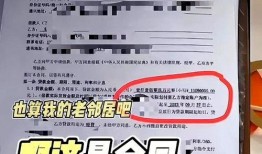 放大镜视频爆料,视频爆料揭示其神奇功能与奥秘