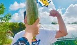 网红吃瓜公众号,揭秘幕后真相，带你领略娱乐圈风云变幻