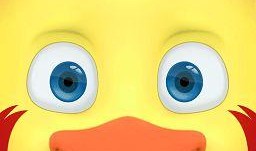 大头鹰爆料猪猪视频播放,猪猪视频播放背后的秘密