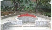 广州云从龙墓新闻爆料,千年古墓揭秘神秘历史