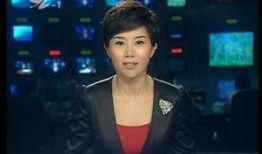 安徽卫视新闻爆料电话,揭秘幕后新闻线索来源