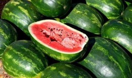 网红周丽珊吃瓜图片高清,高清美照引网友热议