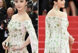 女明星红毯爆料事件视频,女明星爆料幕后真相，揭秘娱乐圈不为人知的一面