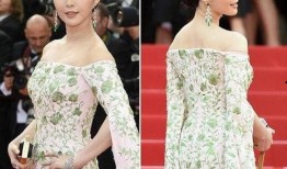 女明星红毯爆料事件视频,女明星爆料幕后真相，揭秘娱乐圈不为人知的一面