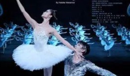 日本舞姬爆料视频大全,独家爆料视频大全幕后故事