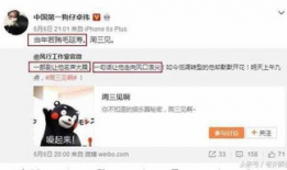 卓伟爆料颖宝视频大全,卓伟独家爆料引发热议