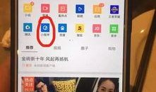 今日视频爆料小程序,热门事件瞬间呈现