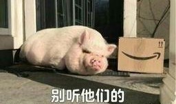 娱乐吃瓜酱猪猪视频大全,猪猪视频大全精彩回顾
