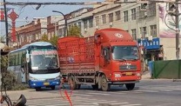 开封杞县车祸最新爆料,悲剧现场细节披露，伤亡情况引关注