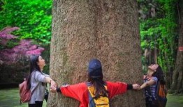 刘二妮徒步爆料视频全集,全程揭秘徒步旅行中的点点滴滴