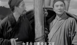 李时珍电影在线观看,中医药传承的传奇人生